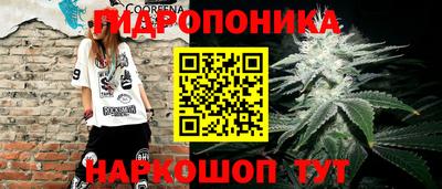 бошки Обь