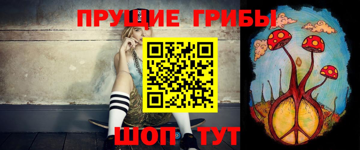 Саранск  купить   Псилоцибиновые грибы мицелий  Вход с VPN  Галлюциногенные грибы Psilocybine cubensis 