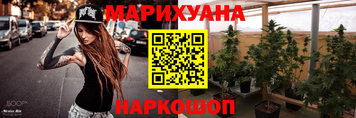 Канабис сатива Саранск